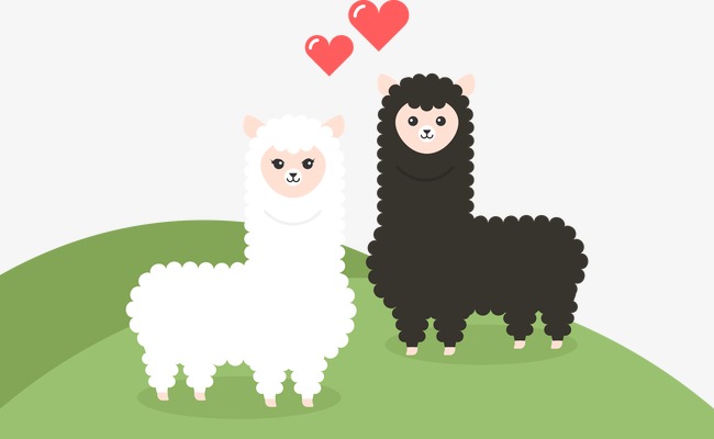 650x400 Vector Alpaca, Alpaca, Vector, Animal Png And Vector For Free Download