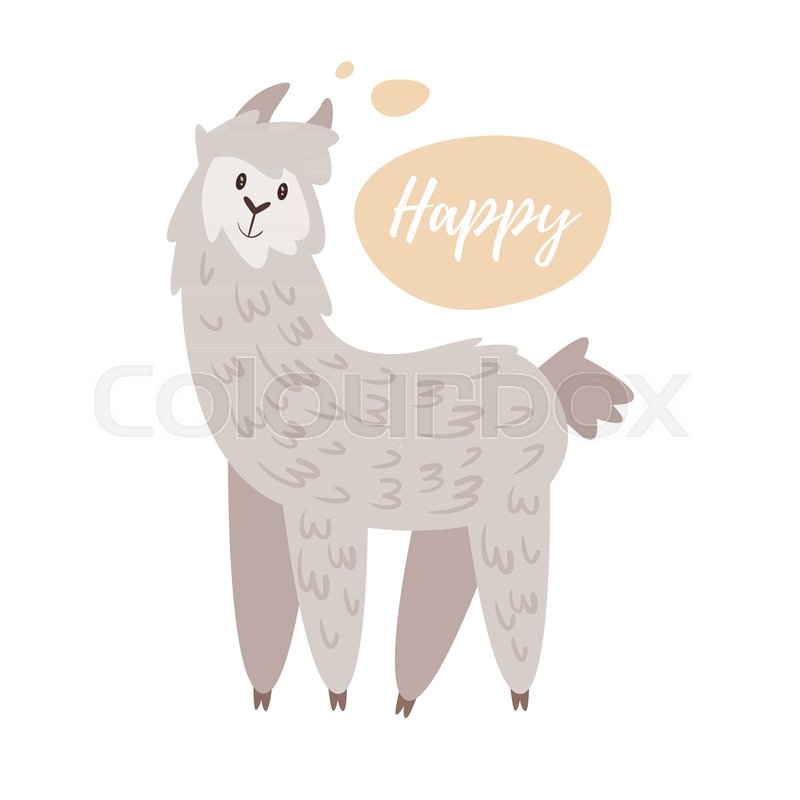 800x800 Vector Cartoon Style Illustration Of Cute Alpaca, Isolated On
