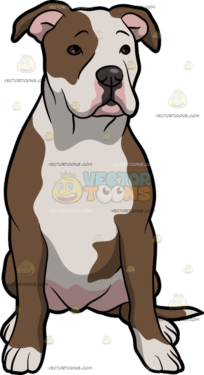 652x1200 An American Bulldog Looking Around Clipart By Vector Toons