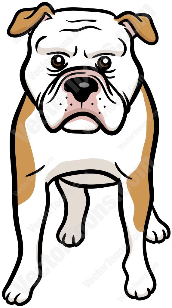 572x1024 Brown And White American Bulldog Logdoq Logo White