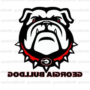 300x300 Male Red White American Bulldog Dog Sohadacouri