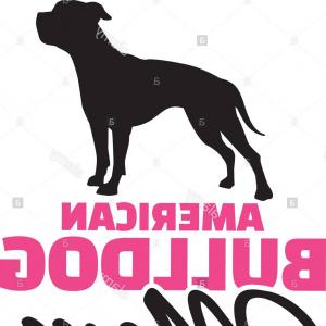 300x300 Stock Photo American Bulldog Mom With Dog Silhouette Orangiausa