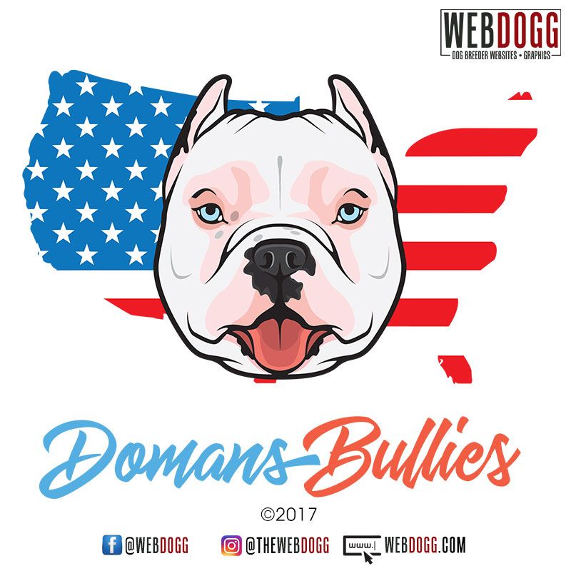 800x800 Domans Bullies