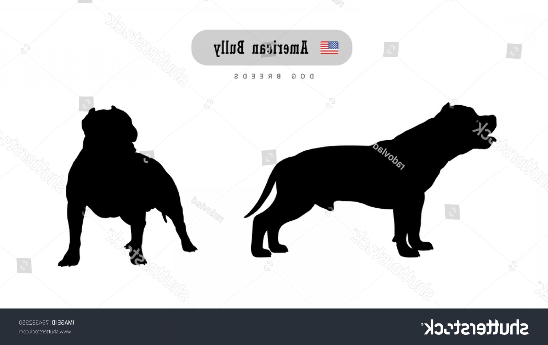 1800x1134 American Bulldog Silhouette Vector Rongholland