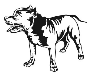 284x240 Search Photos American Pit Bull Terrier