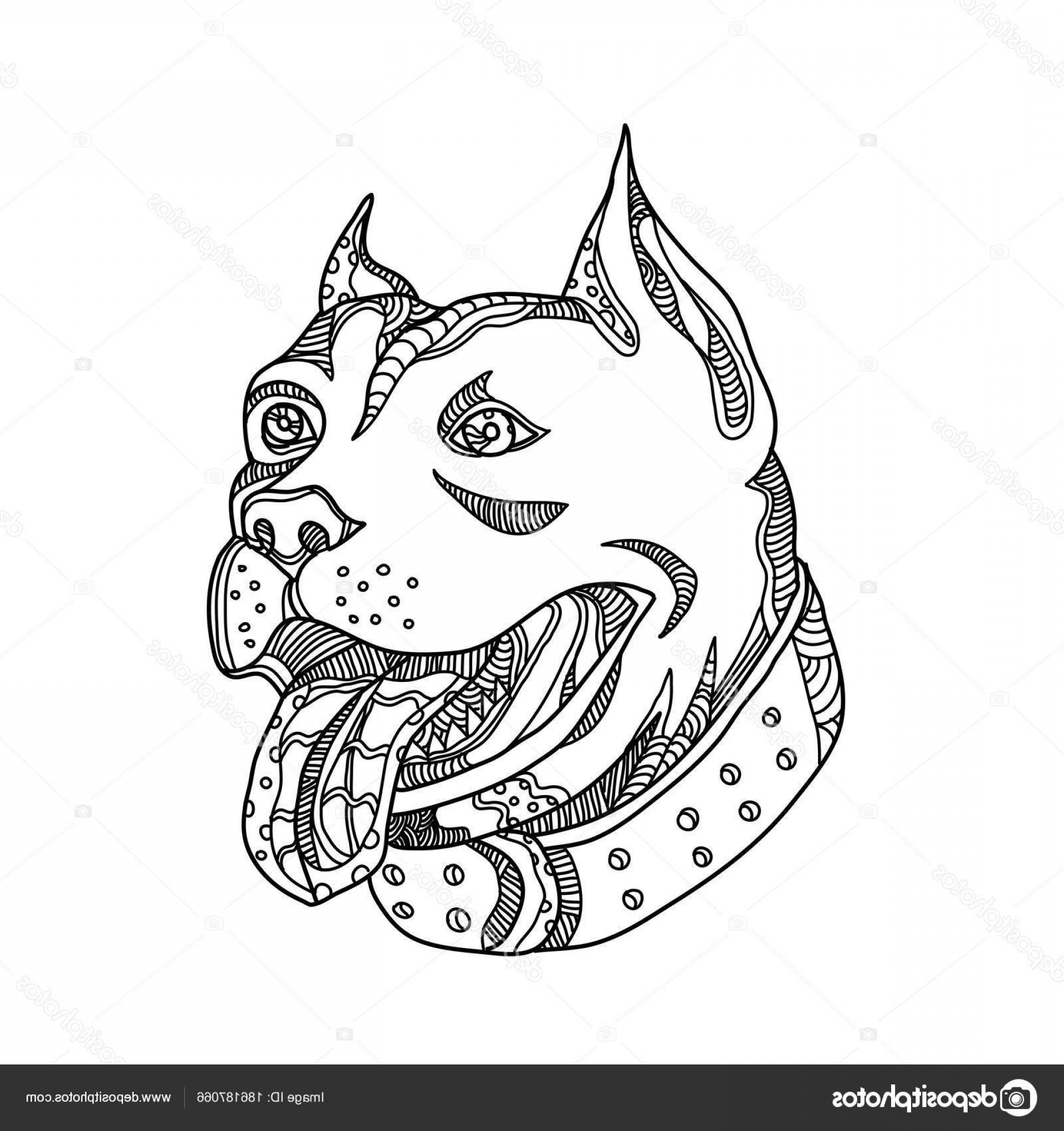 1920x2040 Stock Illustration Pit Bull Head Doodle Art Shopatcloth