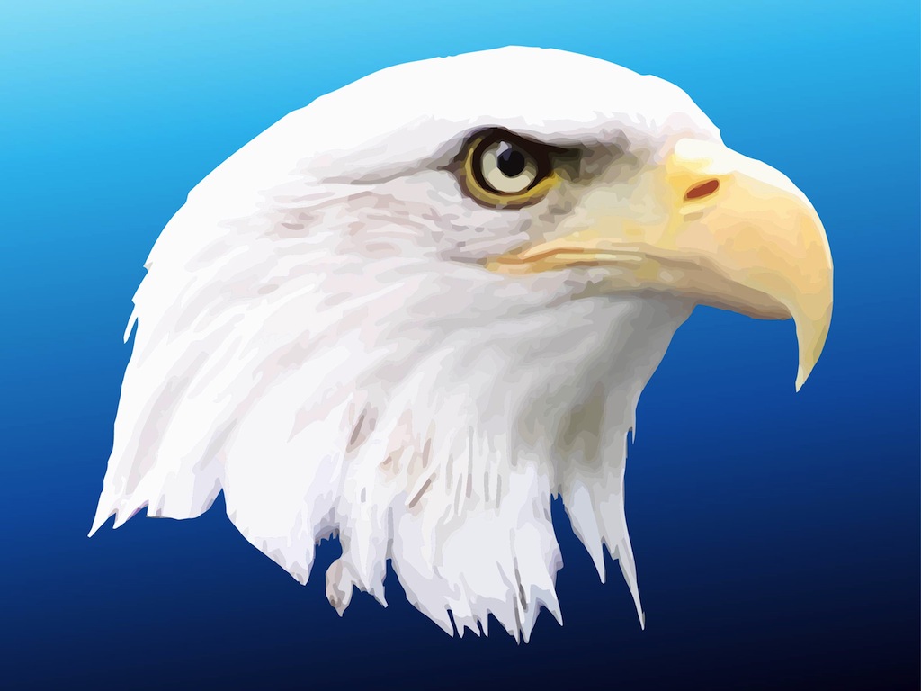 1024x768 American Eagle