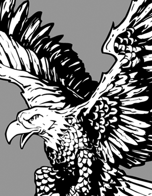 300x387 American Eagle Vector Pack Vector Genius