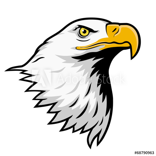 500x500 Bald Eagle, American Eagle, Color Version.