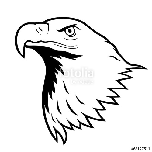 500x500 Bald Eagle, American Eagle. Stock Image And Royalty Free Vector