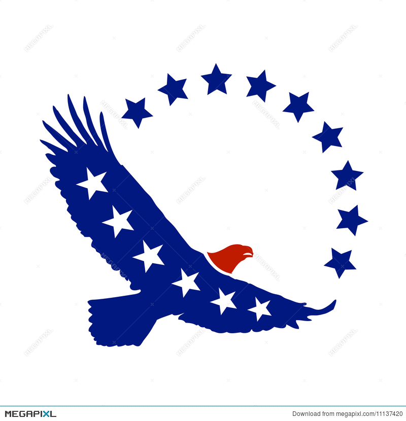 800x830 American Eagle Vector Symbol Illustration 11137420