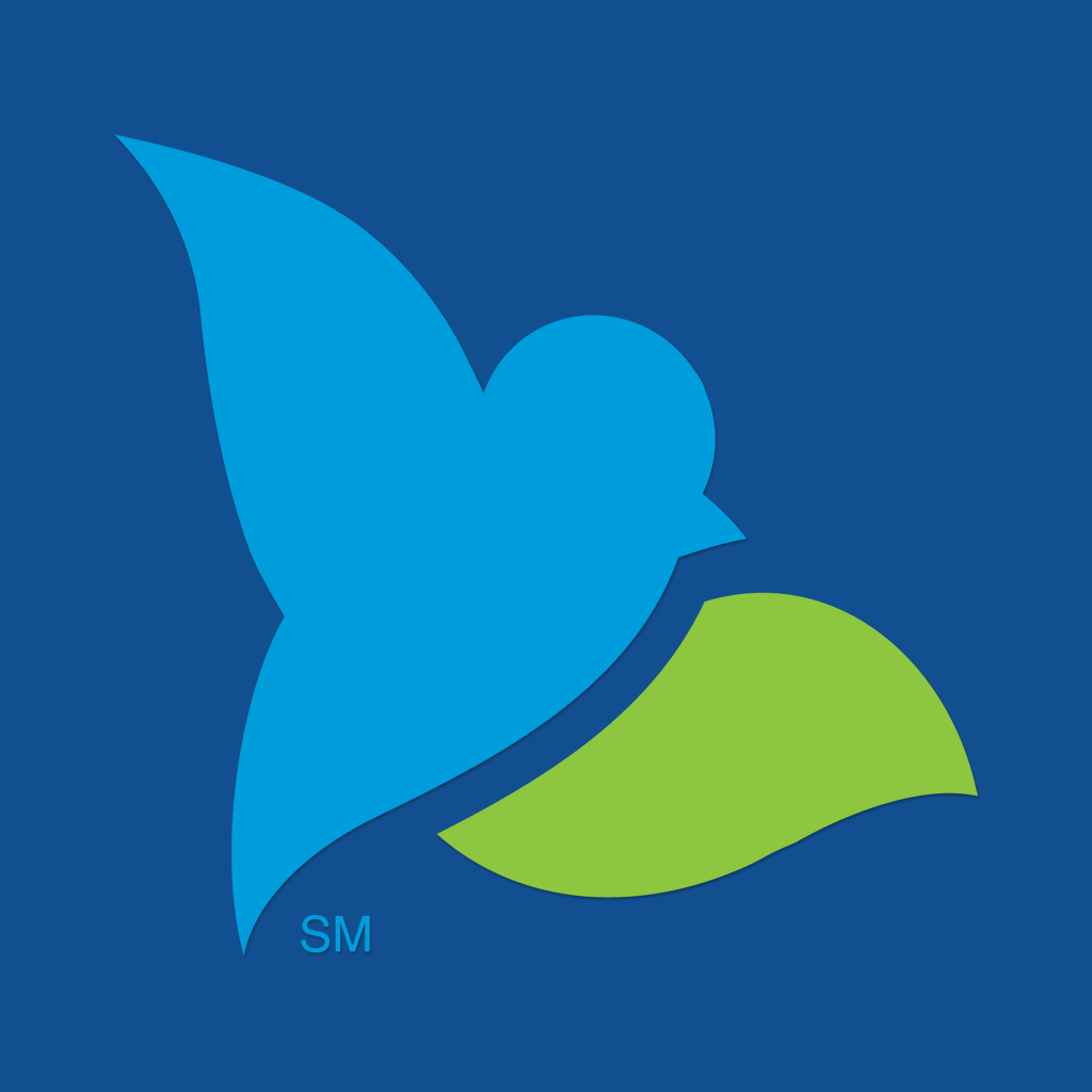 1024x1024 American Express Logo Vector