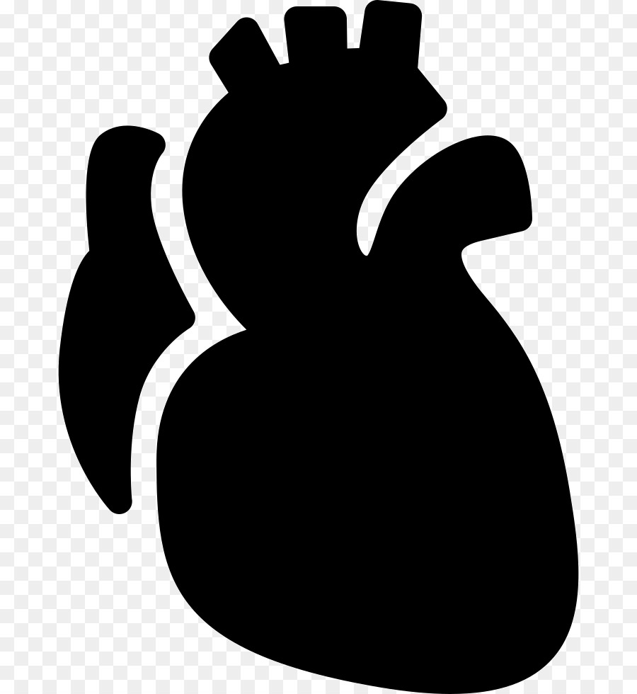 900x980 Anatomy Vector Graphics Heart Clip Art Computer Icons