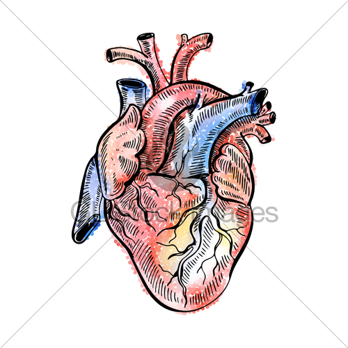 500x500 Hand Drawing Sketch Anatomical Heart. Doodle Zentangle Ve... Gl