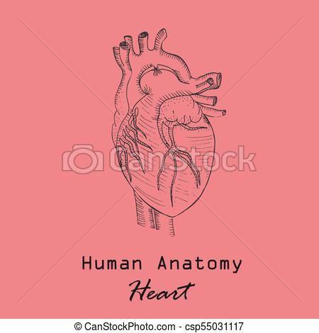 450x470 Handdrawn Human Heart On The Color Background With The Inscription