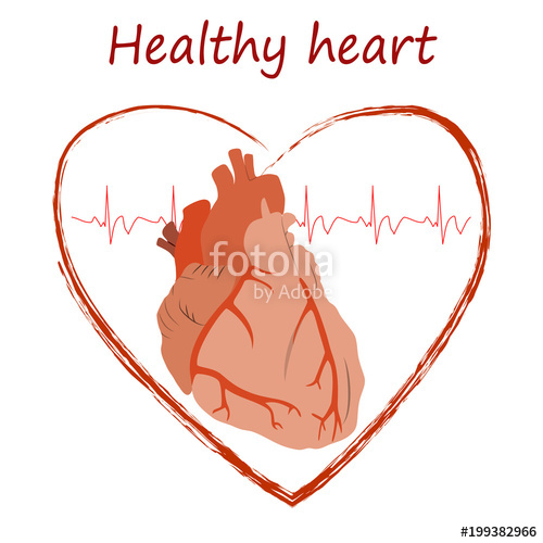 500x500 Heart Health Poster, Banner, Design Template. Anatomy Heart Image
