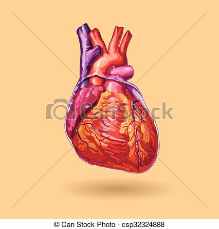 450x470 Human Heart Vector . Realistic Illustration. No Trace.
