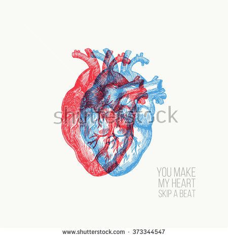 450x470 Valentines Day Card. Anatomical Heart. Vector Illustration Tell