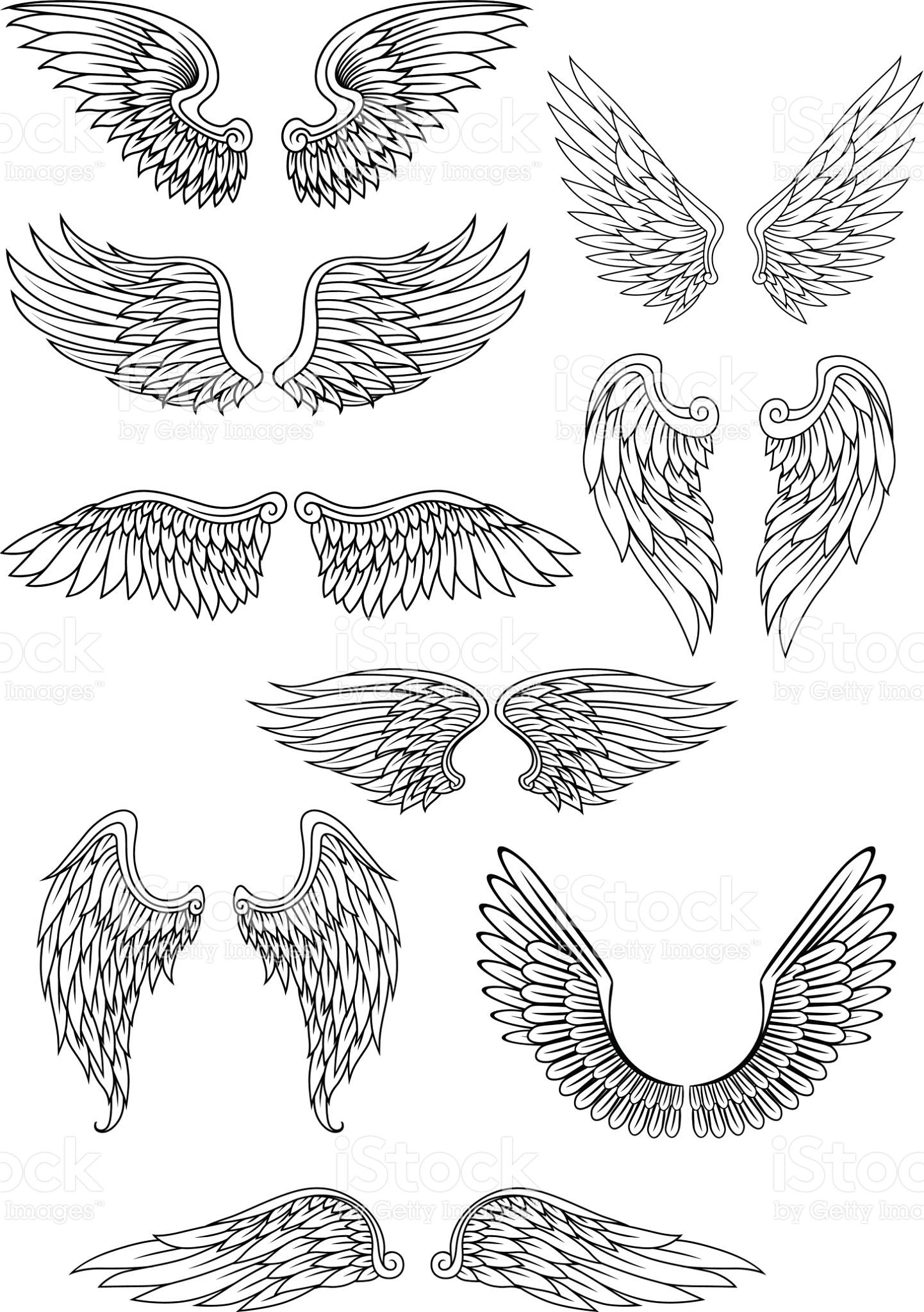 1442x2048 Heraldic Bird Or Angel Wings Set Isolated On White For Religious