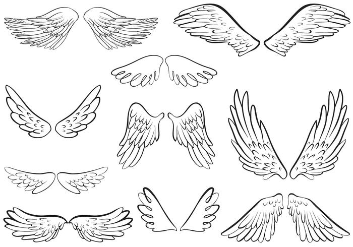 700x490 Angel Wings Vectors