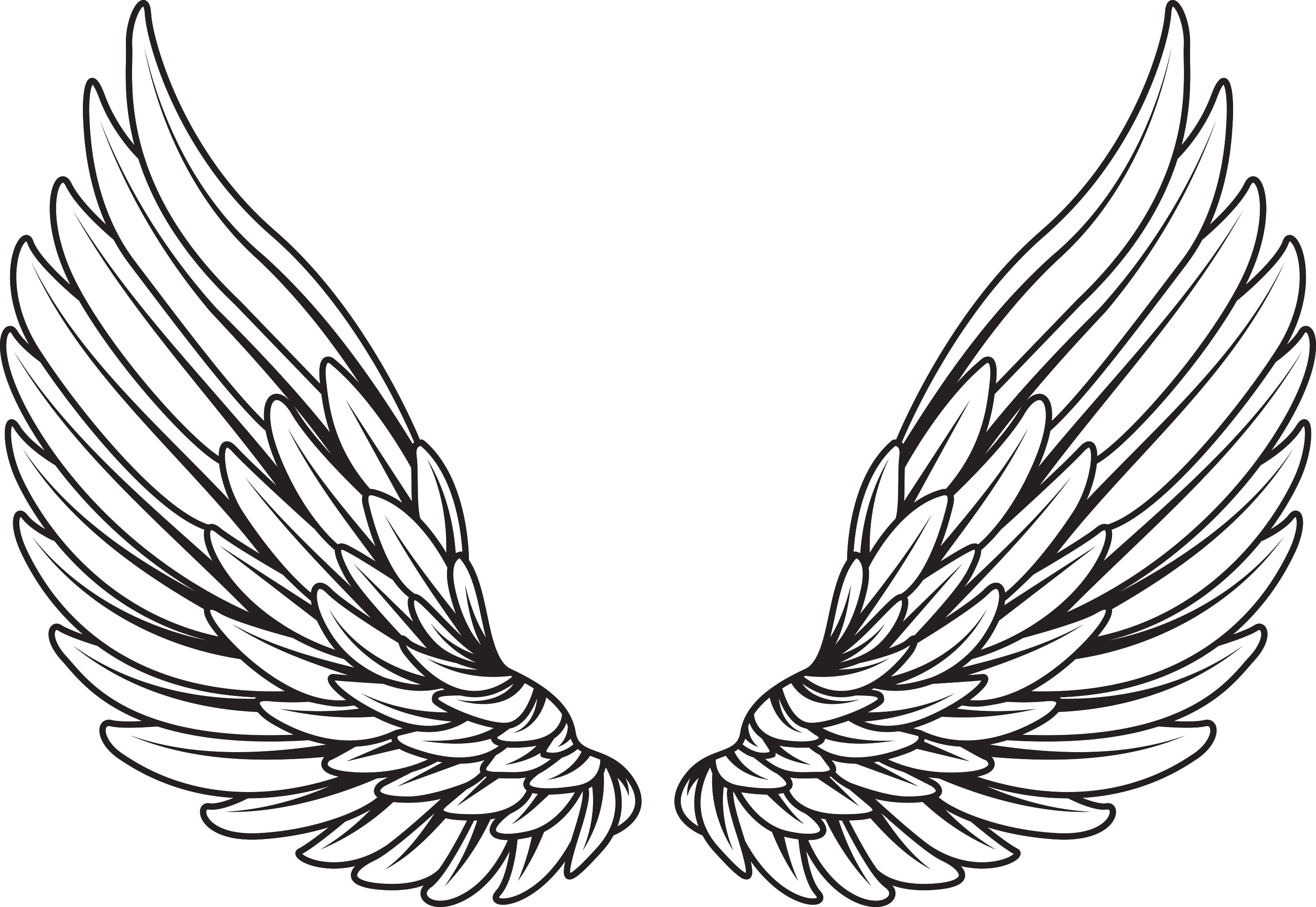Angel Wings Vector at GetDrawings | Free download