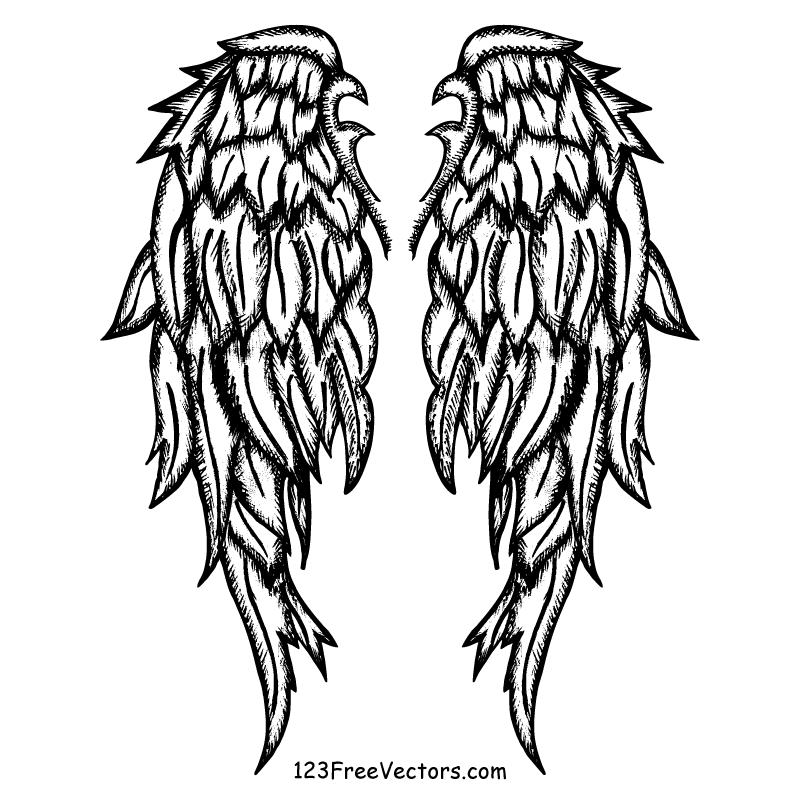 800x800 Free Hand Drawn Angel Wings Vector 123freevectors