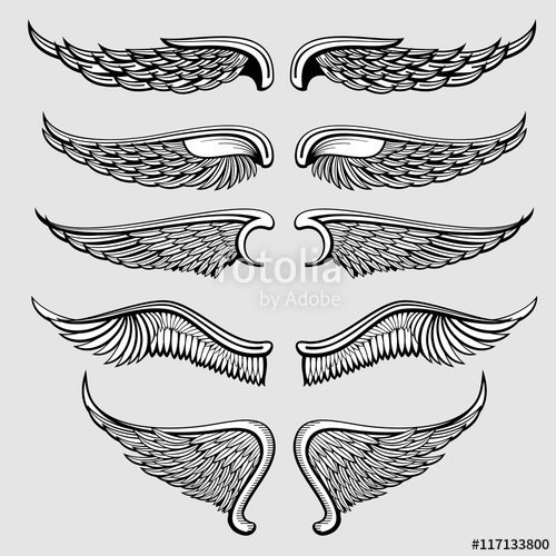 500x500 Heraldic Bird, Angel Wings Vector Set Stock Image And Royalty