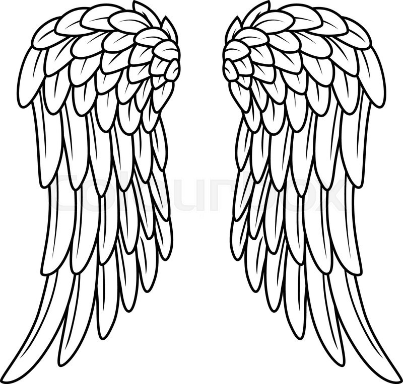 800x764 Vector Illustration Of Cartoon Angel Wings Stock Vector Colourbox