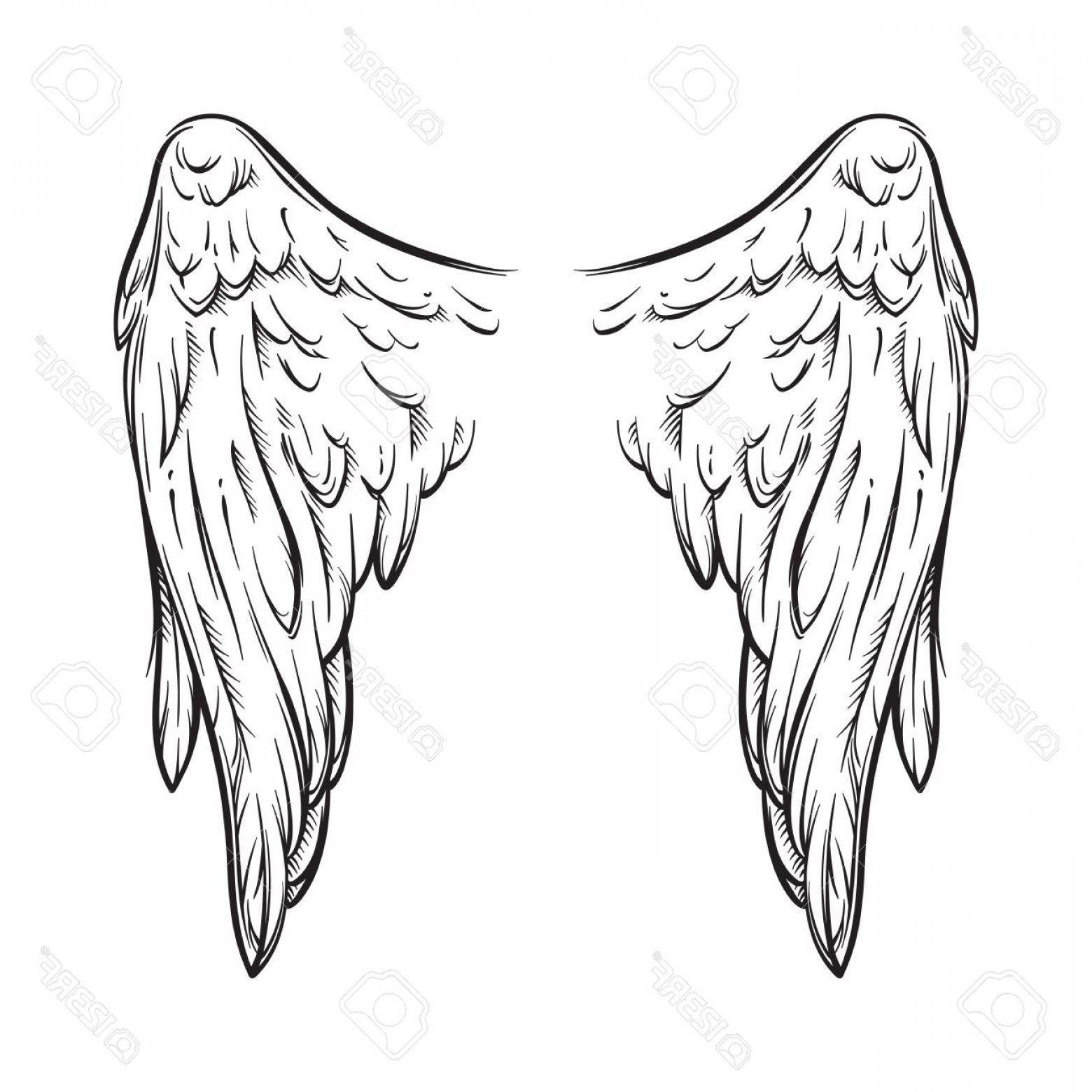 1560x1560 White Angel Wings Vector Art Lazttweet