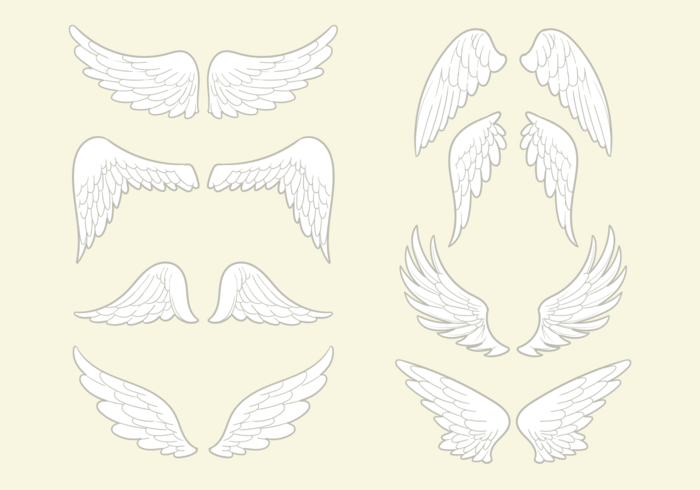 700x490 Wings Free Vector Art