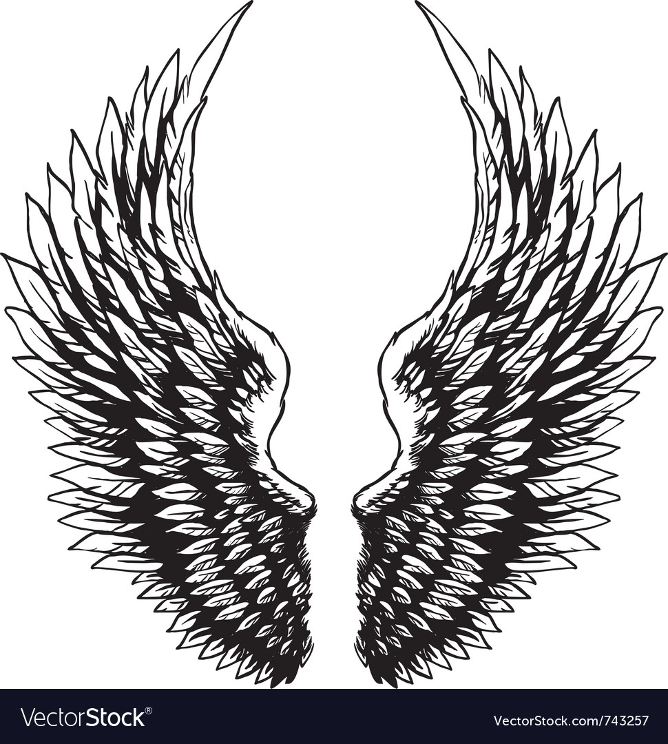 970x1080 Drawn Wings Vector Art