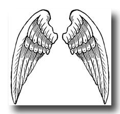 234x223 Free Angel Wings Vector Art