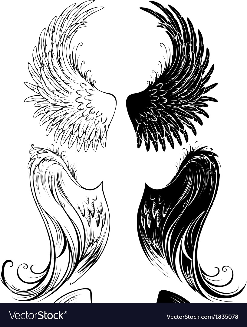816x1080 Hand Drawn Angel Wings Vector 743248 15