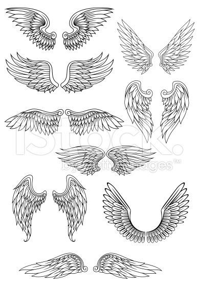 387x556 Heraldic Bird Or Angel Wings Set Isolated On White For Religious