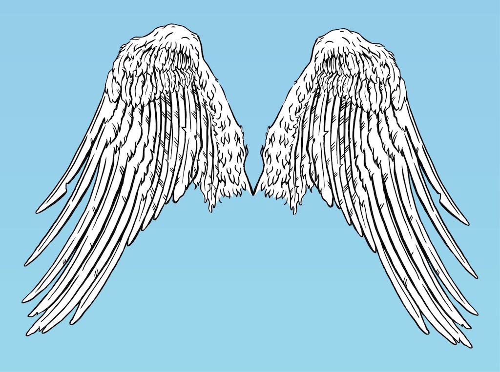 1024x763 Angel Wings Vector Art Amp Graphics