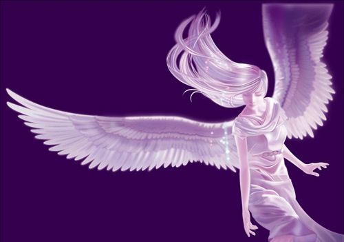 500x351 Angel Wings Vector Free Vector In Adobe Illustrator Ai ( .ai