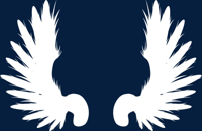 650x423 Cartoon Angel Wings, Cartoon Vector, Angel Vector, Wings Vector