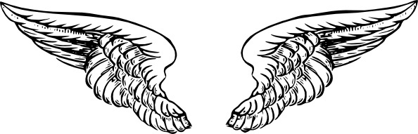 594x191 Realistic Angel Wings Vector Free Vector Download (2,475 Free