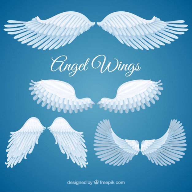 626x626 Variety Of Angel Wings Vector Free Download