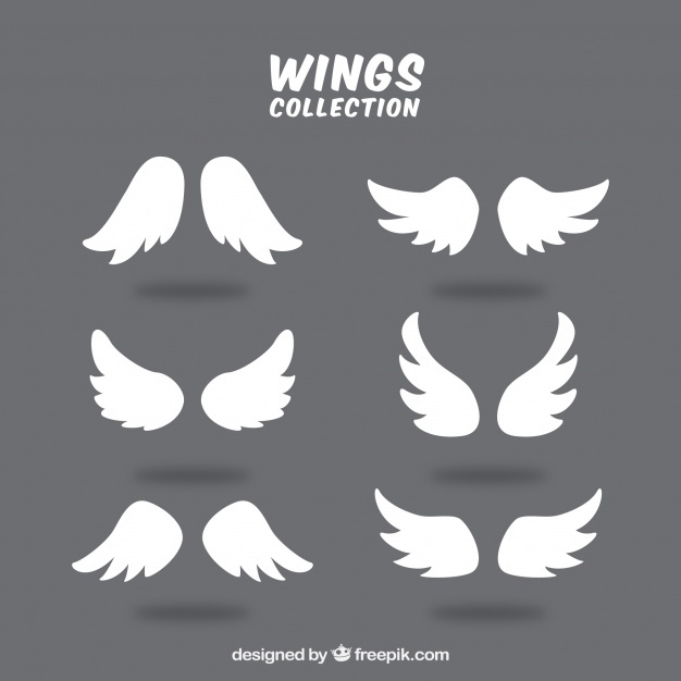 626x626 Wings Vectors, Photos And Psd Files Free Download