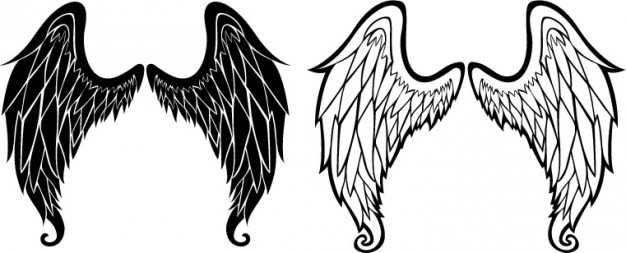 626x253 Vector Angel Wings For Corel Draw