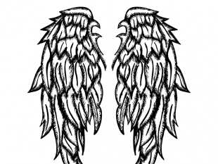 310x233 Angel Wings Hand Drawn Free Vector Free Vectors Ui Download