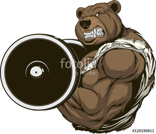 500x430 Angry Bear Athlete Stock Image And Royalty Free Vector Files On