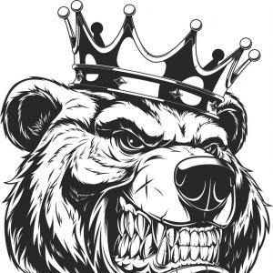 300x300 Best Angry Bear Vector Library Shopatcloth