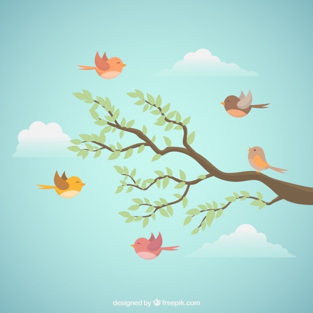 626x626 Bird Vectors, Photos And Psd Files Free Download