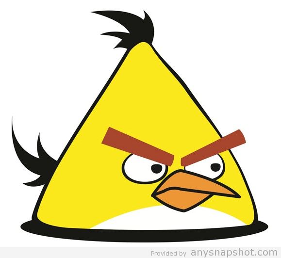 579x532 Yellow Angry Bird Vector Vector Graphic