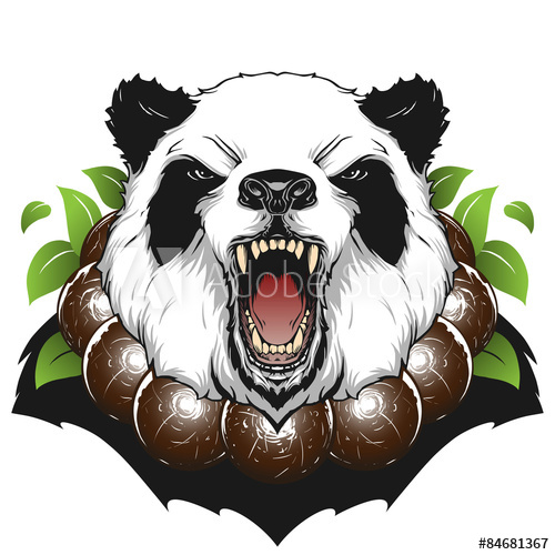 500x500 Angry Panda Head