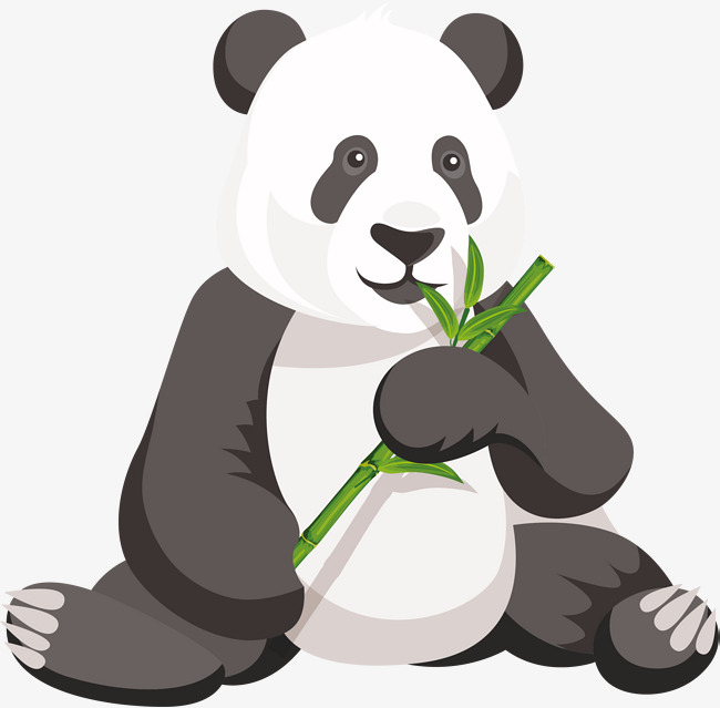 650x639 Panda Hand Drawn Diagram