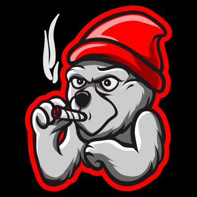 400x400 Angry Panda T Shirt Design Tshirt Factory