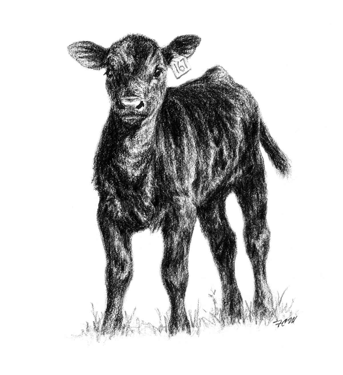 1200x1311 Black Angus Head Vector Clipart